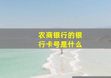 农商银行的银行卡号是什么