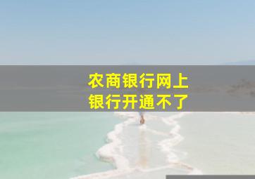 农商银行网上银行开通不了