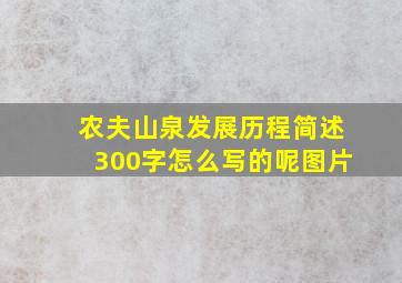 农夫山泉发展历程简述300字怎么写的呢图片