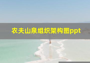 农夫山泉组织架构图ppt