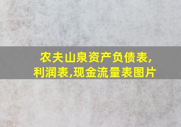 农夫山泉资产负债表,利润表,现金流量表图片