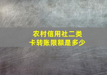 农村信用社二类卡转账限额是多少