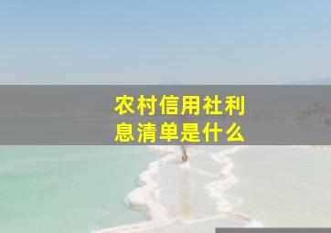 农村信用社利息清单是什么