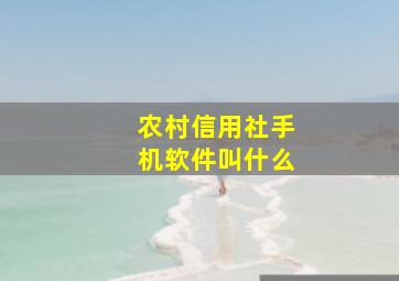 农村信用社手机软件叫什么