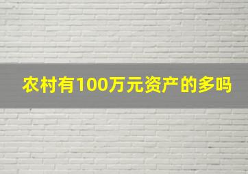 农村有100万元资产的多吗