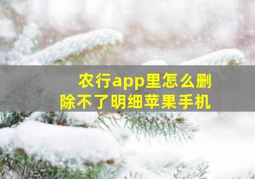 农行app里怎么删除不了明细苹果手机