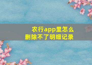 农行app里怎么删除不了明细记录