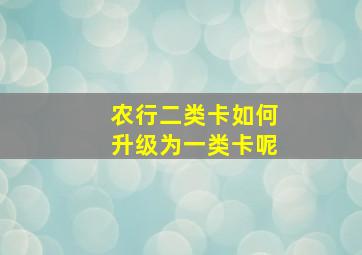 农行二类卡如何升级为一类卡呢