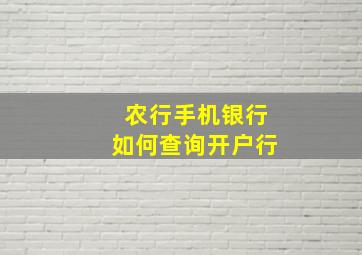 农行手机银行如何查询开户行