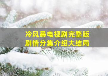 冷风暴电视剧完整版剧情分集介绍大结局