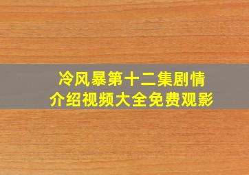 冷风暴第十二集剧情介绍视频大全免费观影