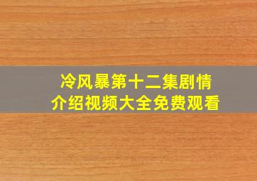 冷风暴第十二集剧情介绍视频大全免费观看