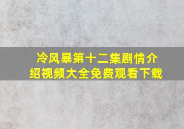 冷风暴第十二集剧情介绍视频大全免费观看下载