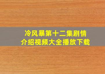 冷风暴第十二集剧情介绍视频大全播放下载