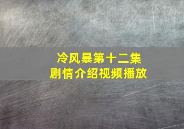 冷风暴第十二集剧情介绍视频播放