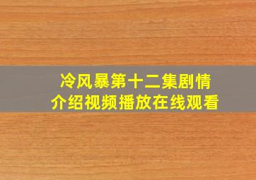 冷风暴第十二集剧情介绍视频播放在线观看