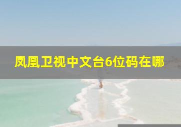 凤凰卫视中文台6位码在哪