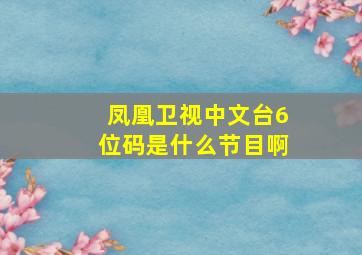 凤凰卫视中文台6位码是什么节目啊