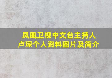 凤凰卫视中文台主持人卢琛个人资料图片及简介