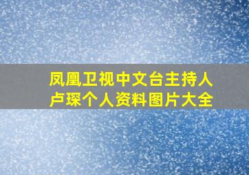 凤凰卫视中文台主持人卢琛个人资料图片大全