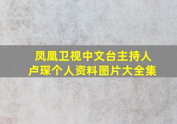 凤凰卫视中文台主持人卢琛个人资料图片大全集