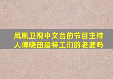 凤凰卫视中文台的节目主持人傅晓田是特工们的老婆吗