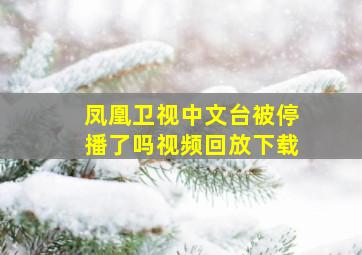 凤凰卫视中文台被停播了吗视频回放下载