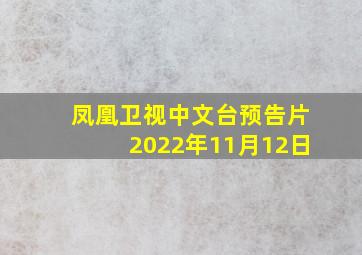 凤凰卫视中文台预告片2022年11月12日