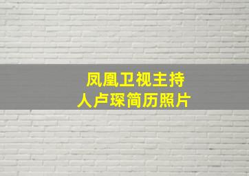 凤凰卫视主持人卢琛简历照片