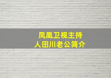 凤凰卫视主持人田川老公简介