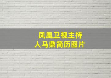 凤凰卫视主持人马鼎简历图片