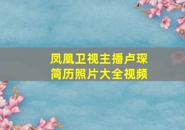 凤凰卫视主播卢琛简历照片大全视频