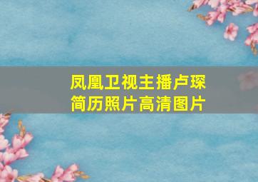 凤凰卫视主播卢琛简历照片高清图片