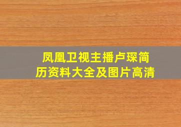 凤凰卫视主播卢琛简历资料大全及图片高清