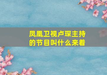 凤凰卫视卢琛主持的节目叫什么来着