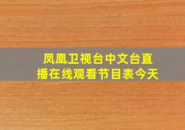 凤凰卫视台中文台直播在线观看节目表今天