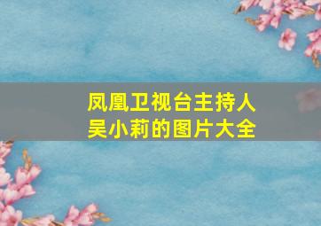 凤凰卫视台主持人吴小莉的图片大全