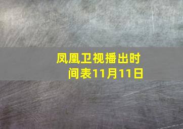 凤凰卫视播出时间表11月11日