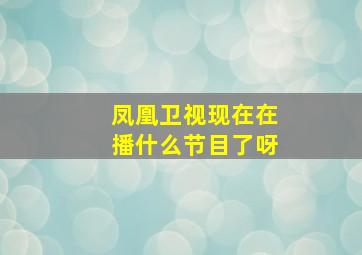 凤凰卫视现在在播什么节目了呀