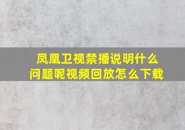 凤凰卫视禁播说明什么问题呢视频回放怎么下载