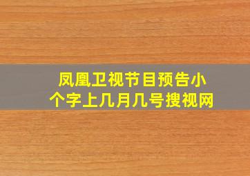 凤凰卫视节目预告小个字上几月几号搜视网