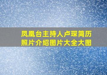 凤凰台主持人卢琛简历照片介绍图片大全大图