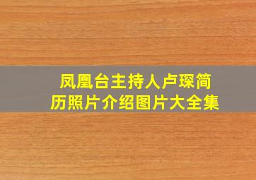 凤凰台主持人卢琛简历照片介绍图片大全集