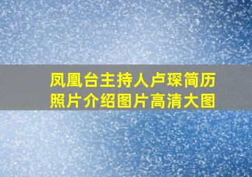 凤凰台主持人卢琛简历照片介绍图片高清大图