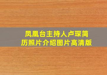 凤凰台主持人卢琛简历照片介绍图片高清版