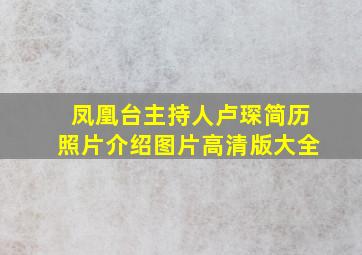 凤凰台主持人卢琛简历照片介绍图片高清版大全