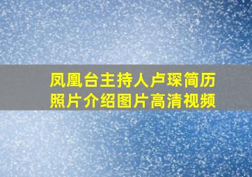 凤凰台主持人卢琛简历照片介绍图片高清视频