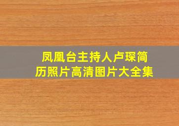 凤凰台主持人卢琛简历照片高清图片大全集