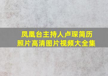 凤凰台主持人卢琛简历照片高清图片视频大全集