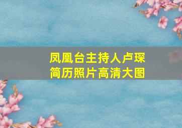 凤凰台主持人卢琛简历照片高清大图